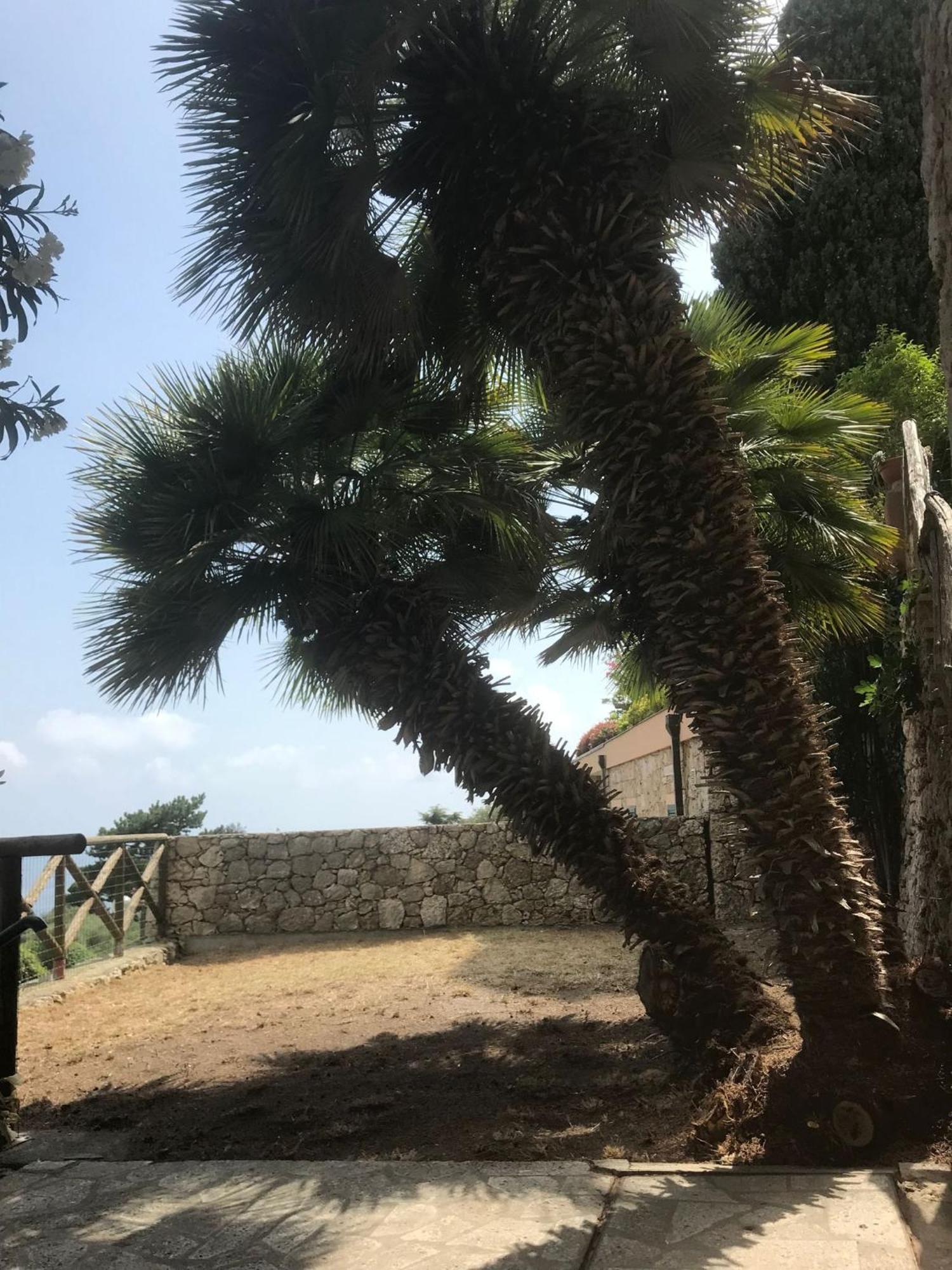 דירות פינאלה ליגורה La Cita Ca - Vista Mare מראה חיצוני תמונה